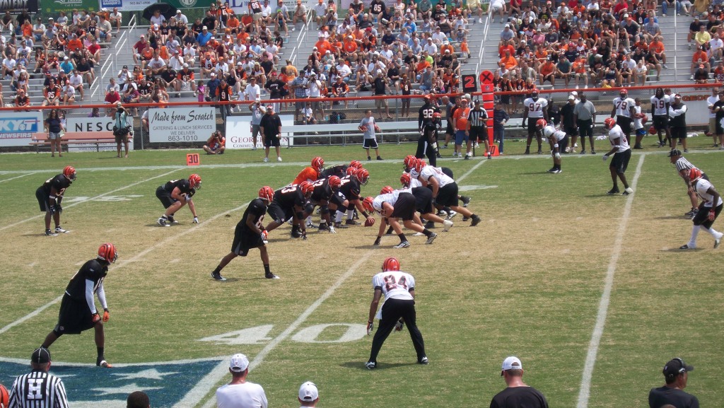 Summer workout: The Bengals in training camp, where every move was followed by the cameras...